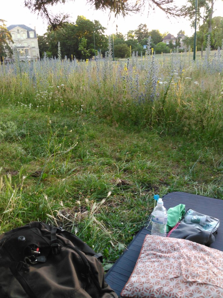 Bivouac sans les hautes herbes, parc public de la banlieue Parisienne
